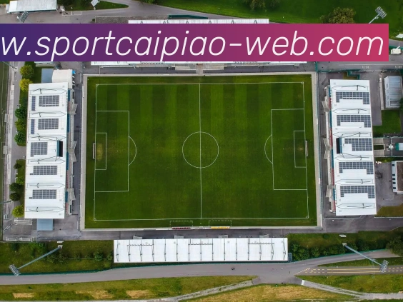 大发彩票APP 体育赛事宣传图